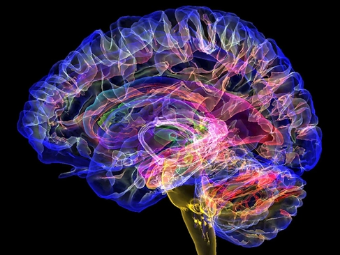 免费操逼真人动态视频大脑植入物有助于严重头部损伤恢复