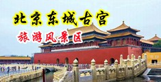 男人和女人日麻皮中国北京-东城古宫旅游风景区